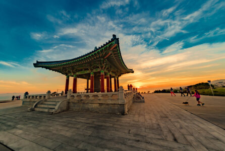 Korean Bell San Pedro