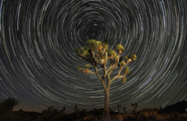 Star Trails