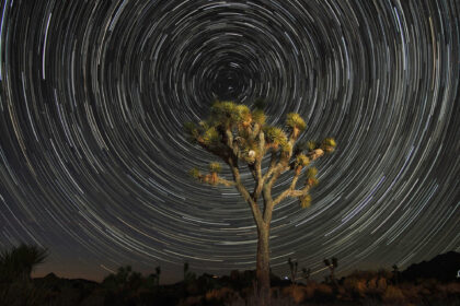 Star Trails